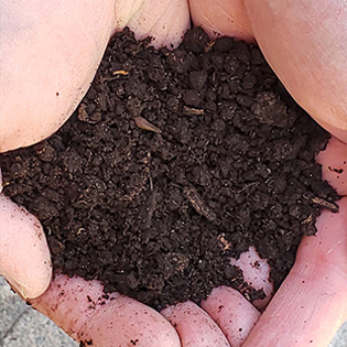 Image of a pile of worm castings in hands